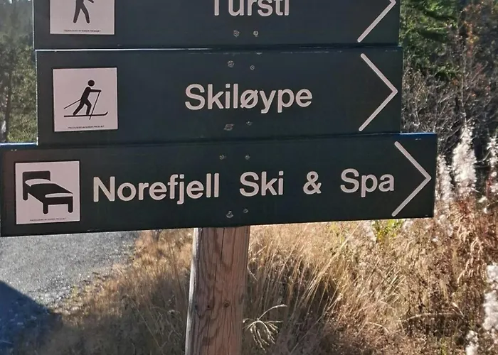 Modern In Norefjell With Sauna Hébergement de vacances Noresund