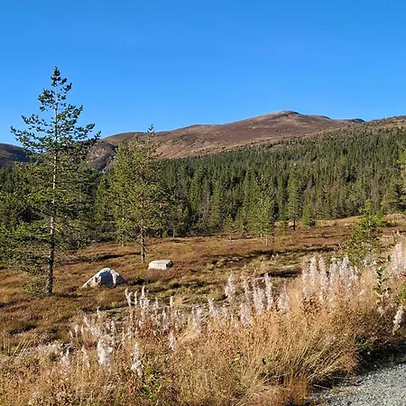 Modern In Norefjell With Sauna Ferienhaus Noresund